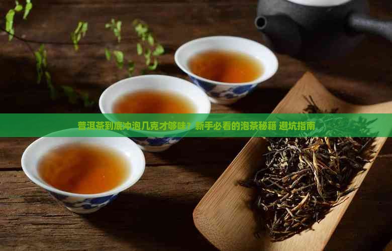 普洱茶一般冲泡几克