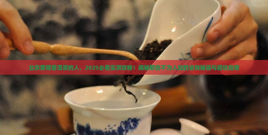 北京爱喝普洱茶的人