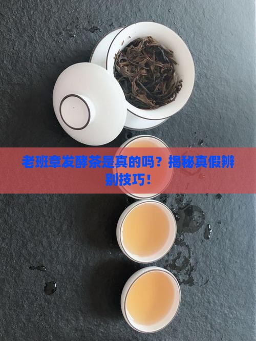 老班章发酵茶是真的吗