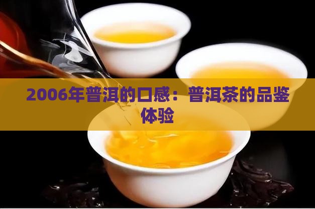 2006年生普的口感是什么样