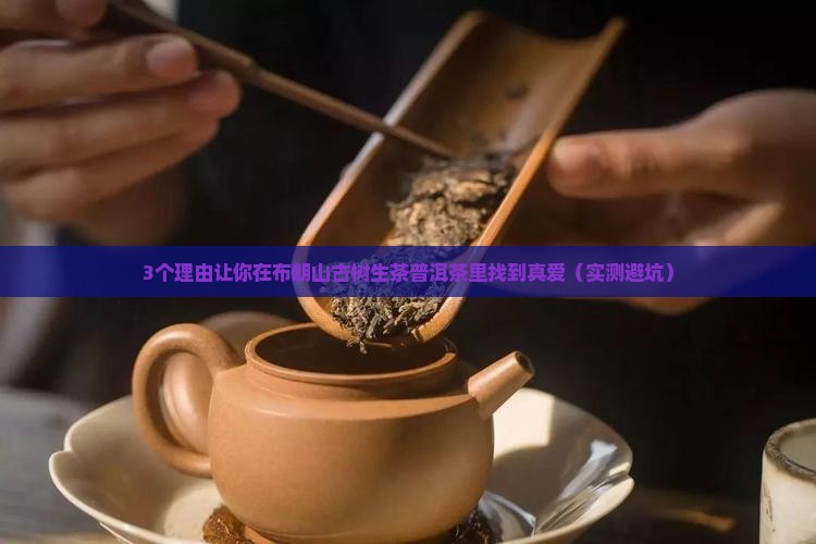 布朗山古树生茶普洱茶