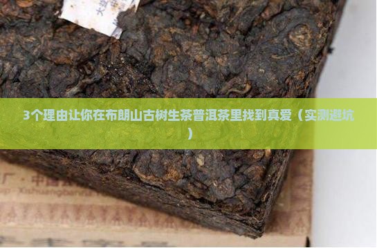 布朗山古树生茶普洱茶