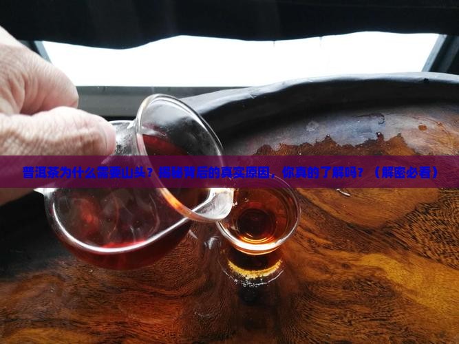 普洱茶为什么需要山头