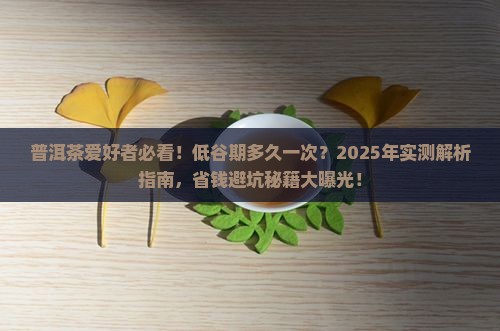 普洱茶的低谷期是多久一次