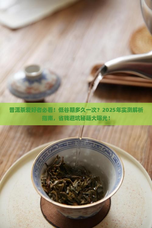 普洱茶的低谷期是多久一次