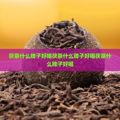 茯茶什么牌子好喝