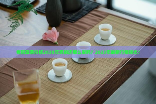 老班章茶价格2020年