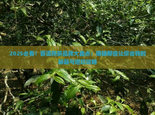 普洱熟茶品牌有哪几种