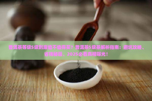 普洱茶等级5级怎么样