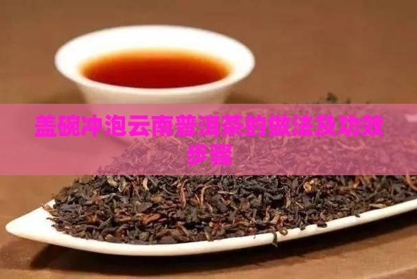 盖碗冲泡云南普洱茶