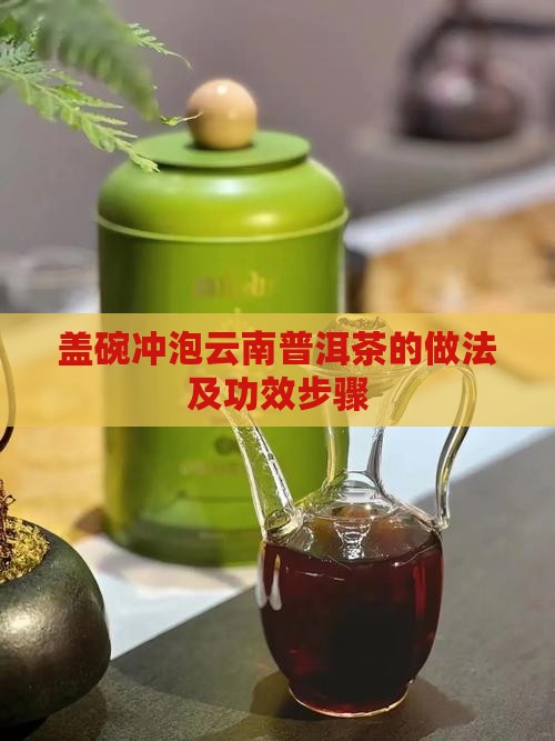 盖碗冲泡云南普洱茶