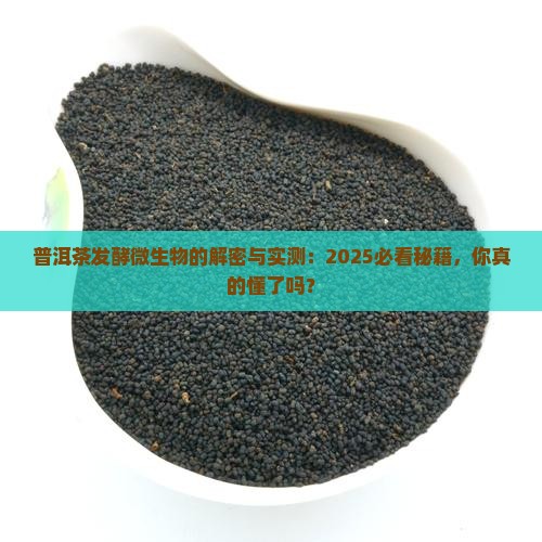 普洱茶发酵中的微生物