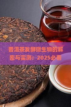普洱茶发酵中的微生物