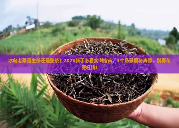 冰岛老寨是生茶还是熟茶