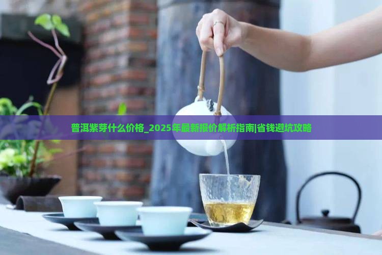 普洱紫芽什么价格