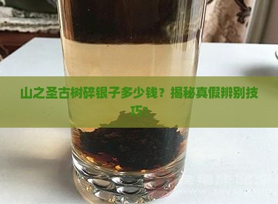 山之圣古树碎银子多少钱