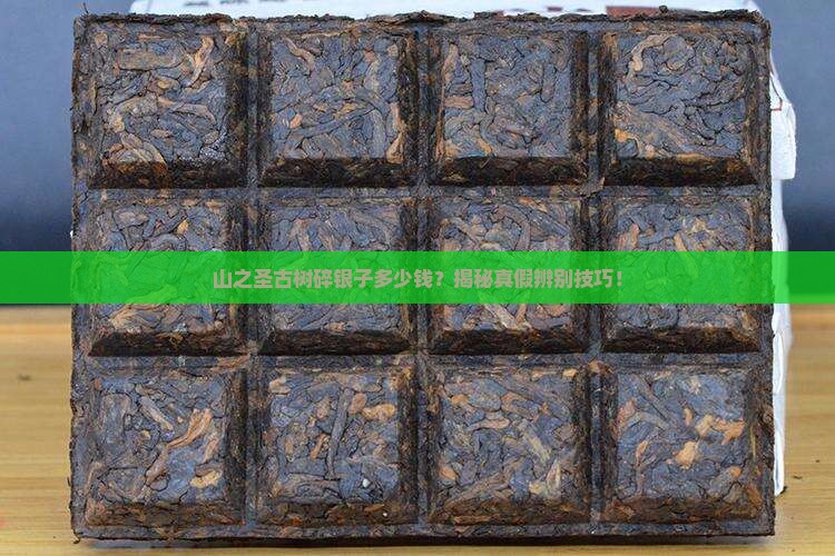 山之圣古树碎银子多少钱