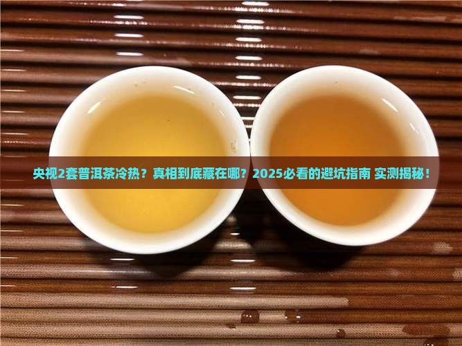 央视2套普洱茶冷热