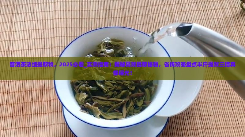 普洱茶浓缩提取物