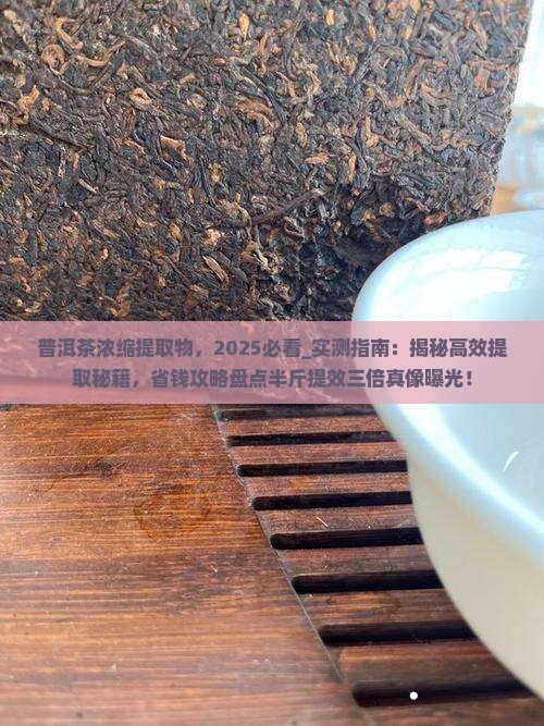 普洱茶浓缩提取物