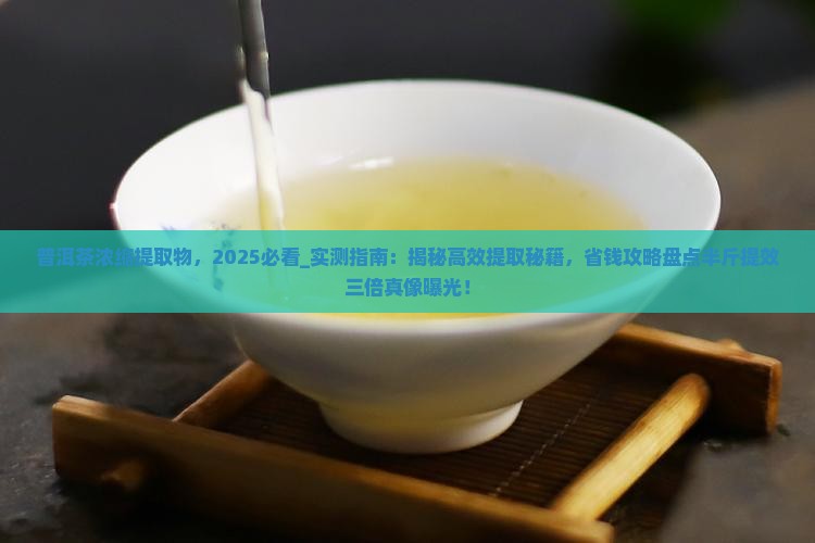 普洱茶浓缩提取物