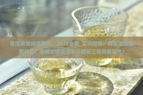 普洱茶浓缩提取物