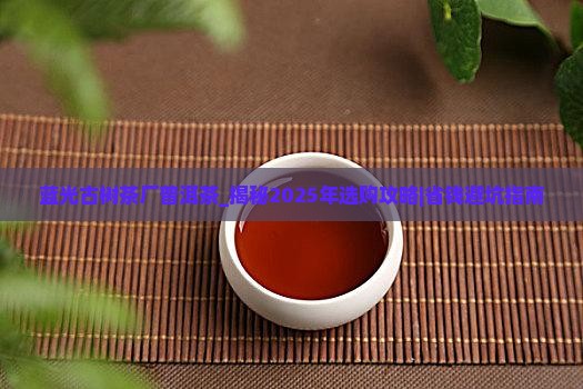 蓝光古树茶厂普洱茶
