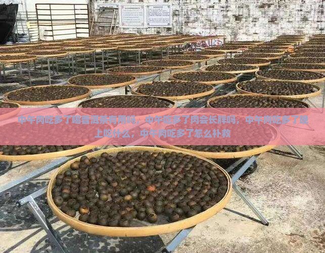 中午肉吃多了喝普洱茶有用吗