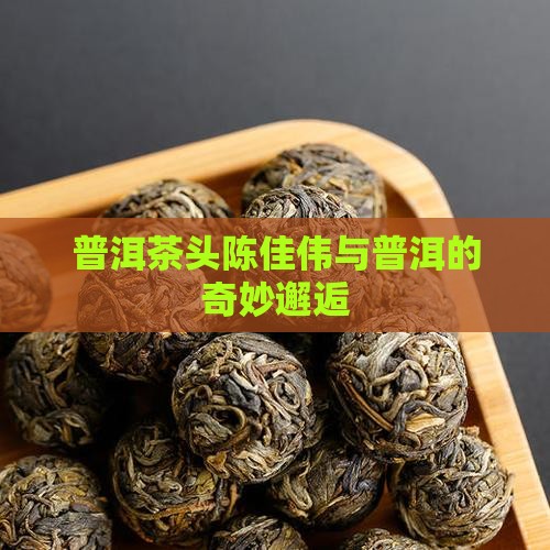普洱茶头陈佳伟