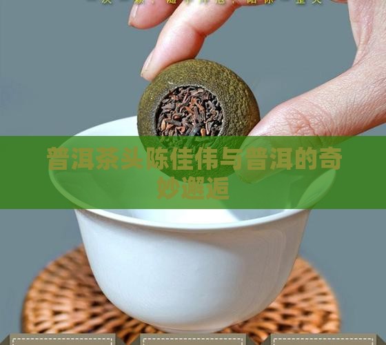 普洱茶头陈佳伟