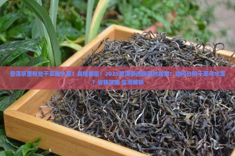 普洱茶里有些干草和水草