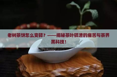 老树茶饼怎么变碎