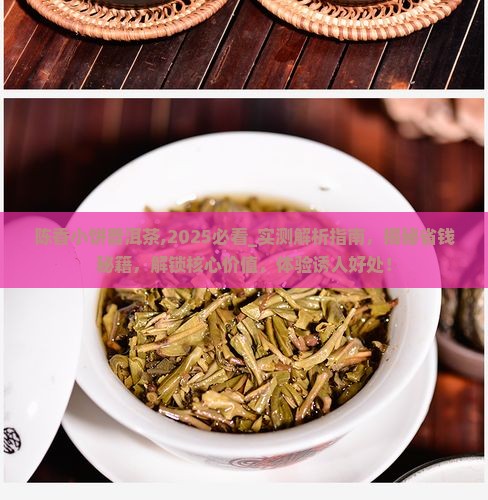 陈香小饼普洱茶
