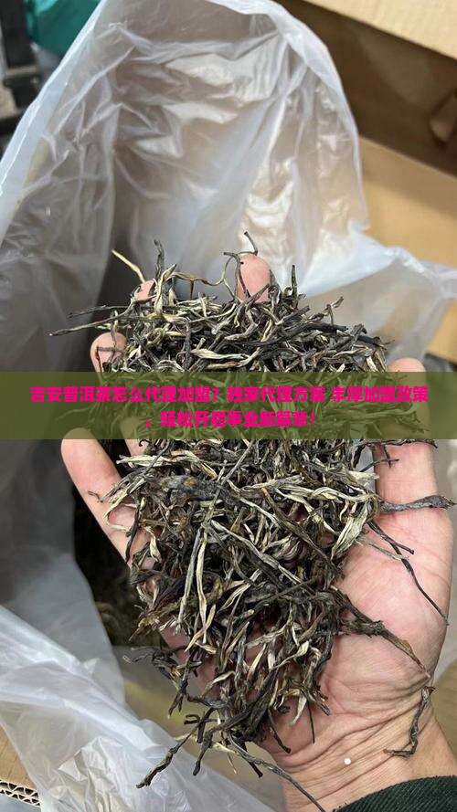 吉安普洱茶怎么代理加盟