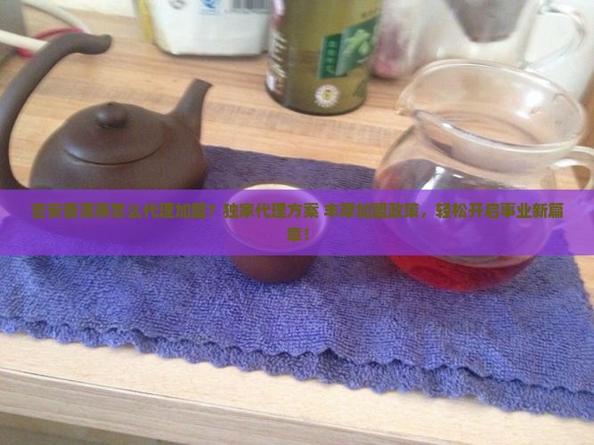 吉安普洱茶怎么代理加盟