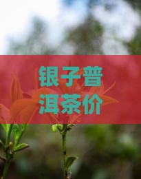 碎银子普洱茶礼品装