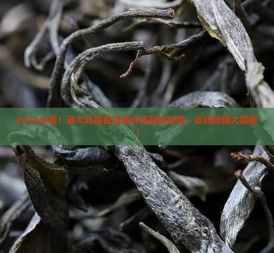 瑞犬旺福普洱茶价格