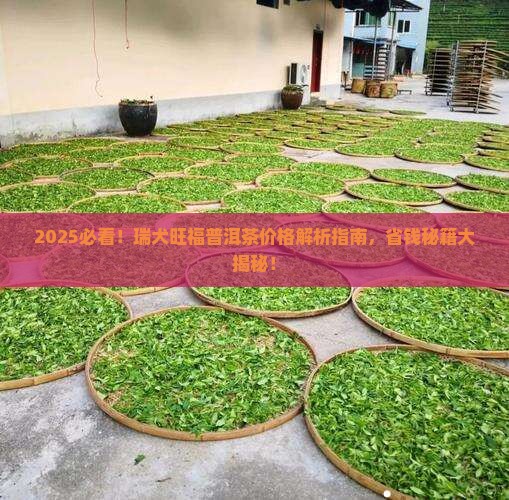 瑞犬旺福普洱茶价格