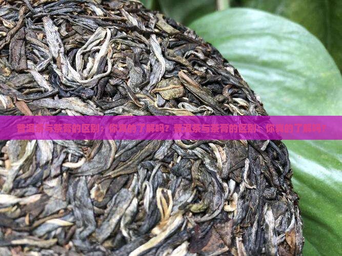 普洱茶与茶膏的区别
