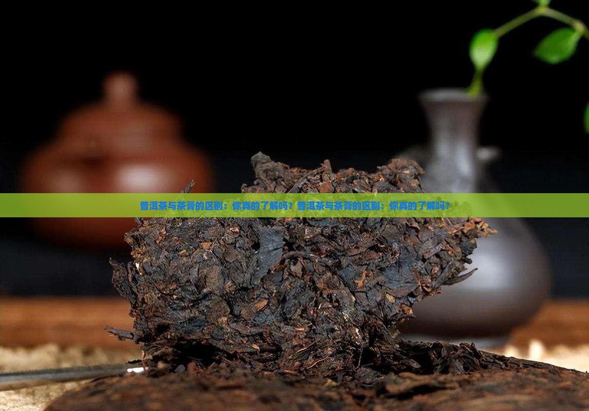 普洱茶与茶膏的区别