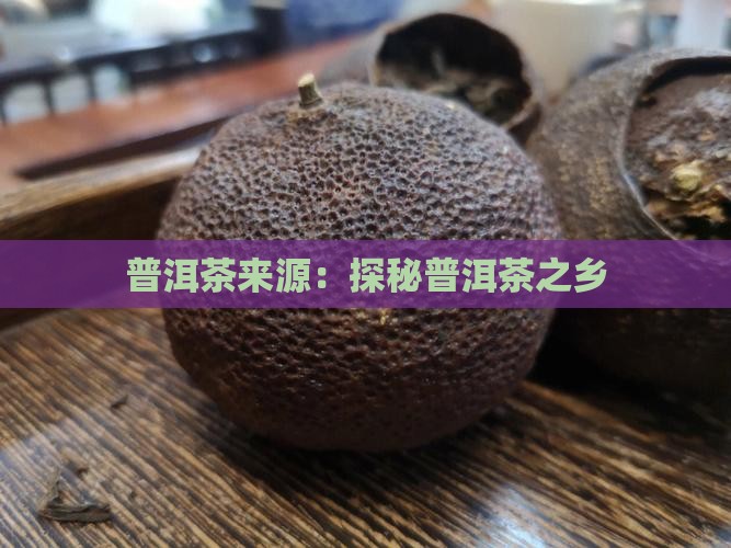 茶运网的普洱茶来源