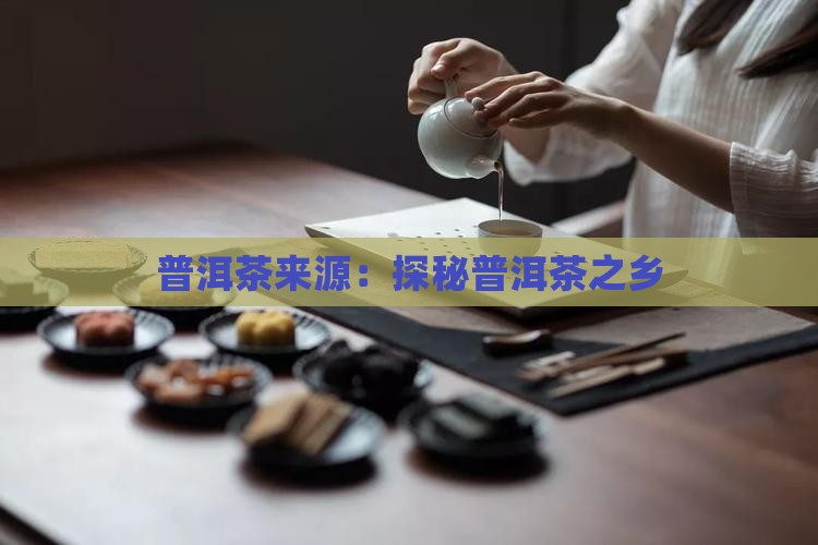茶运网的普洱茶来源