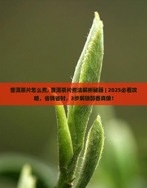 普洱茶片怎么煮