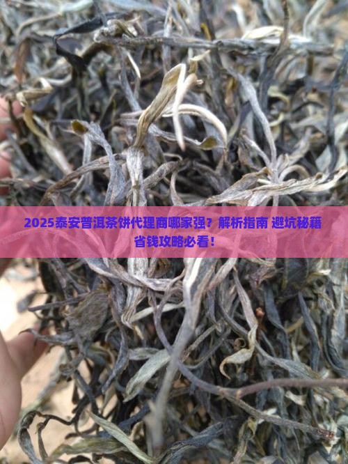 泰安普洱茶饼代理商哪家好