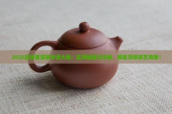 勐海普洱茶冲泡大赛