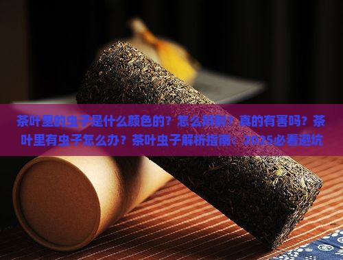 茶叶里的虫子是什么颜色的