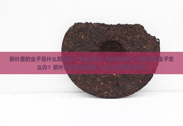茶叶里的虫子是什么颜色的