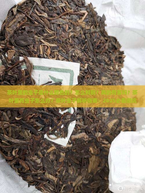 茶叶里的虫子是什么颜色的
