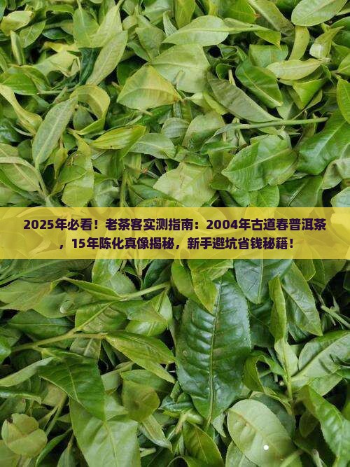 2004年古道春普洱茶