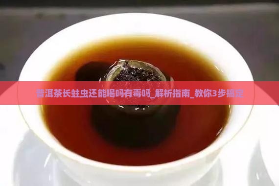 普洱茶长蛀虫还能喝吗有毒吗